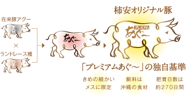 より甘く、やわらかい肉質を求め柿安オリジナル豚「プレミアムあぐ～」誕生。