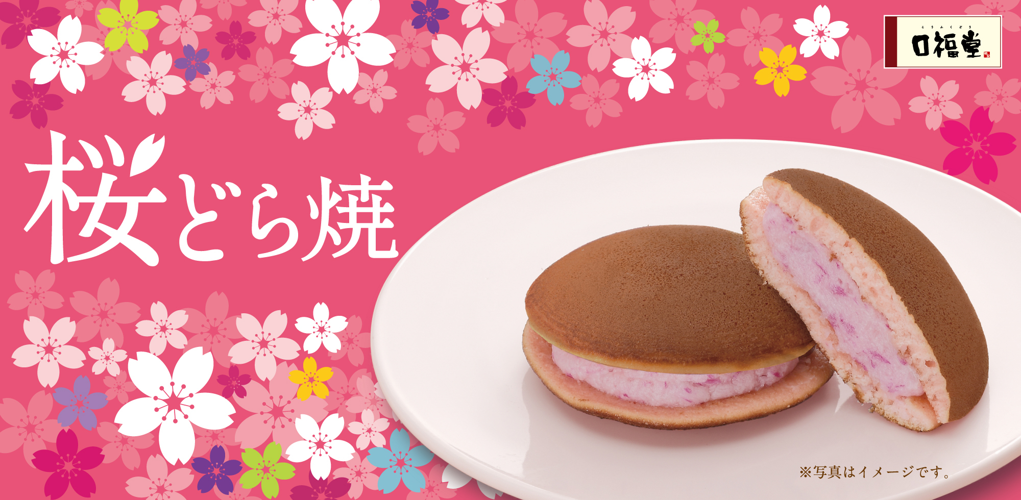 桜どら焼