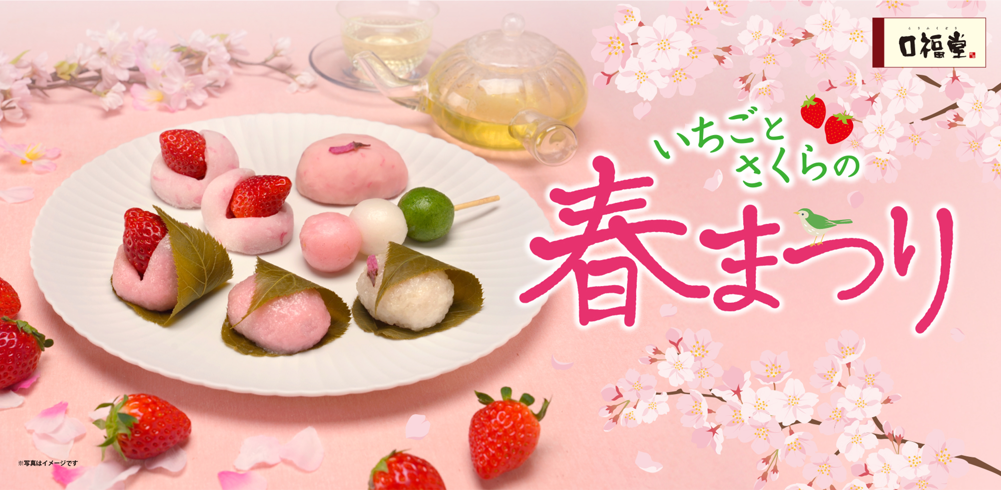 口福堂 商品一覧