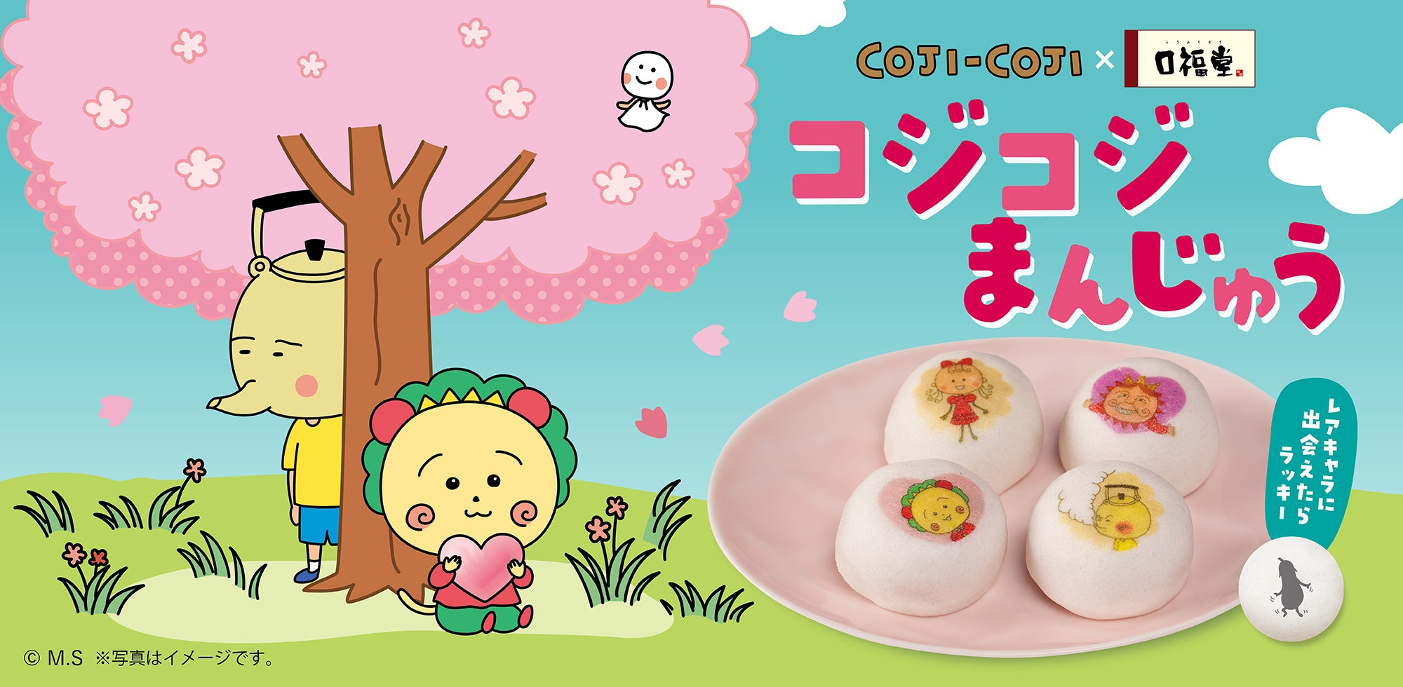 コジコジホワイトデーまんじゅう