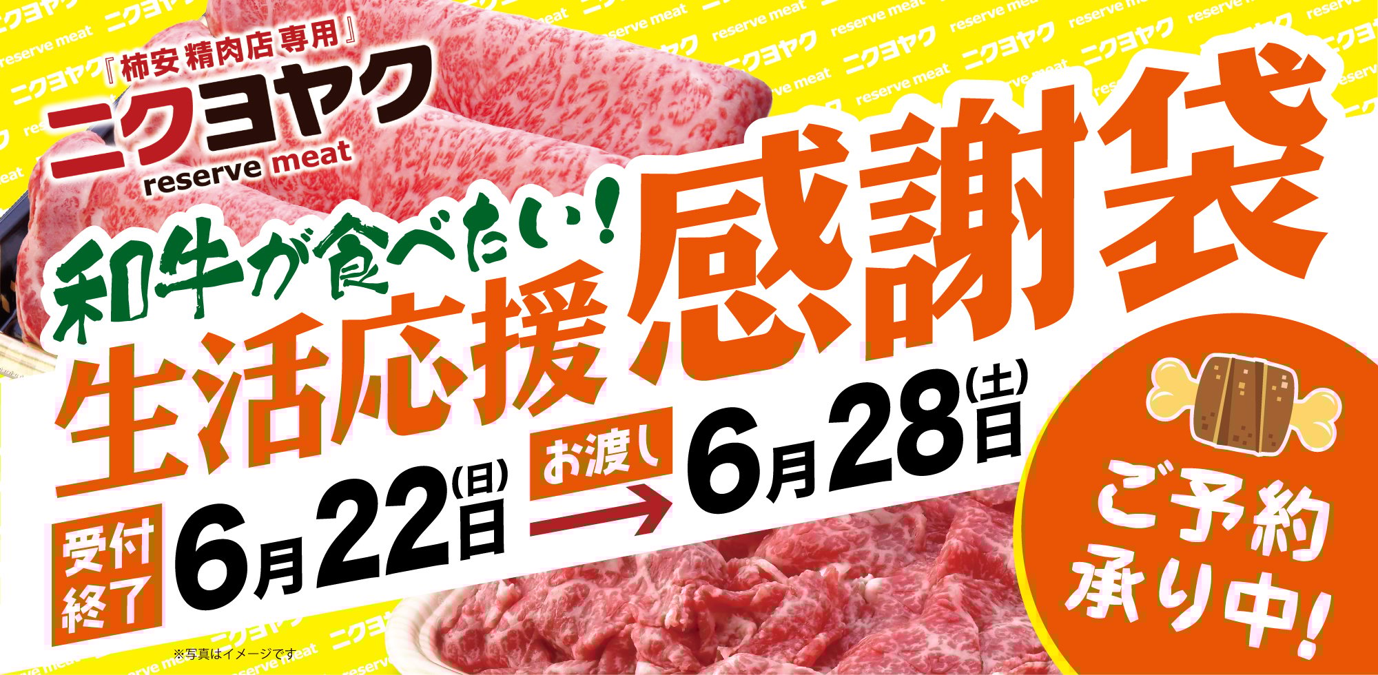 ニクヨヤク2025年6月