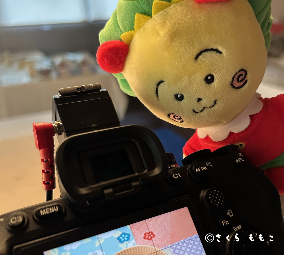 コジコジまんじゅうイメージ